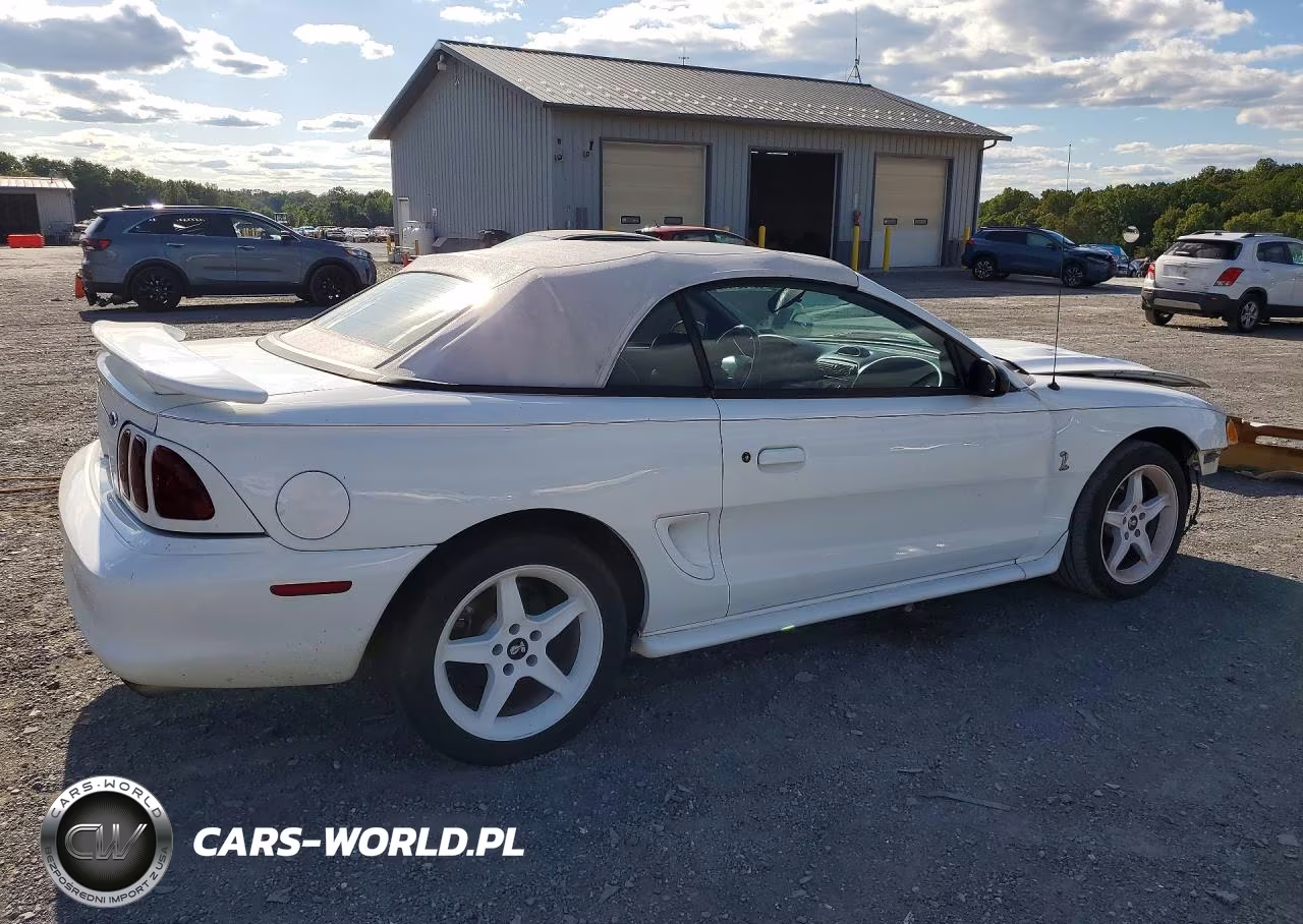 1997 Ford Mustang Cobra VIN:1FALP46VXVF144328 - 3