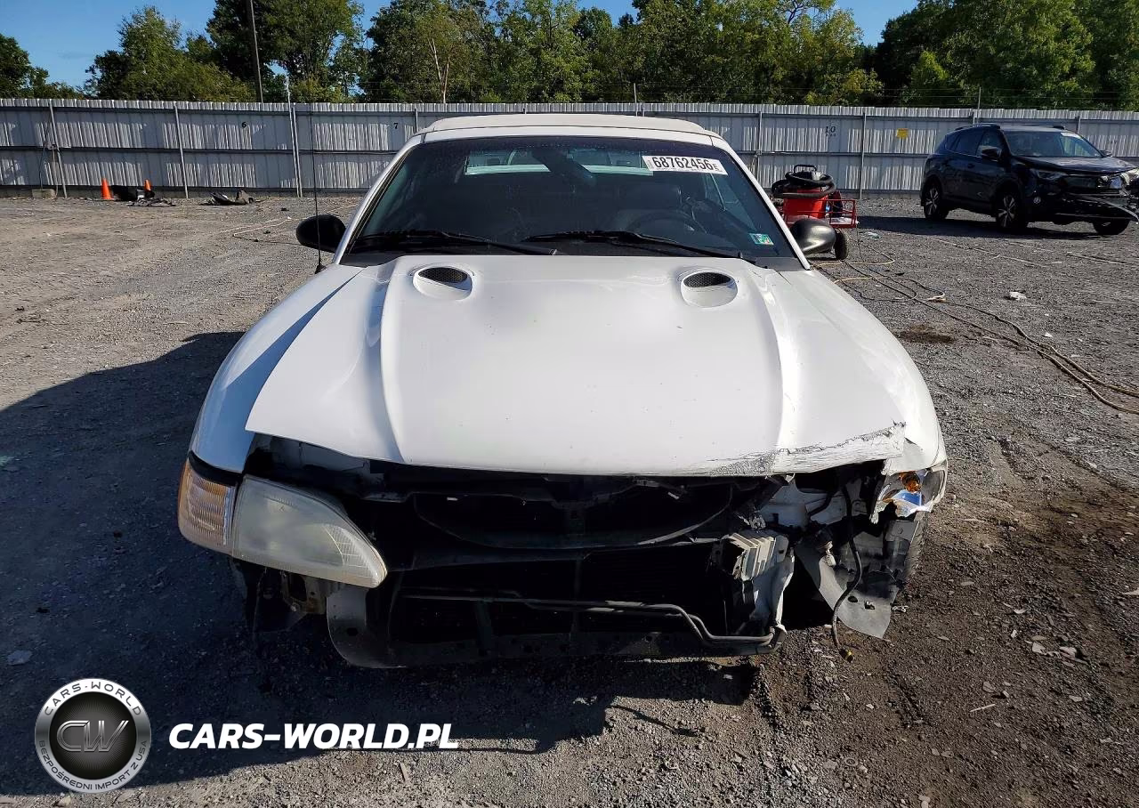 1997 Ford Mustang Cobra VIN:1FALP46VXVF144328 - 5