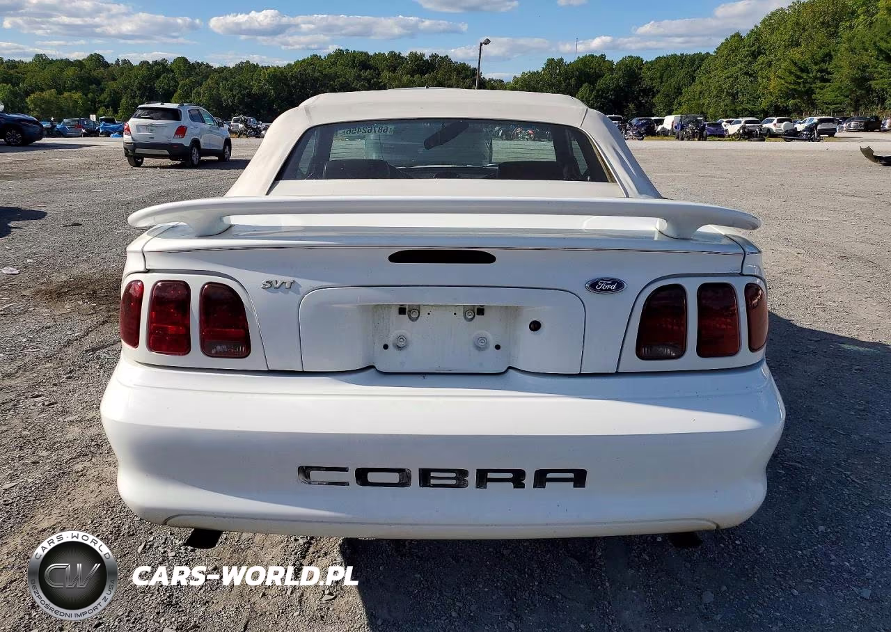 1997 Ford Mustang Cobra VIN:1FALP46VXVF144328 - 6