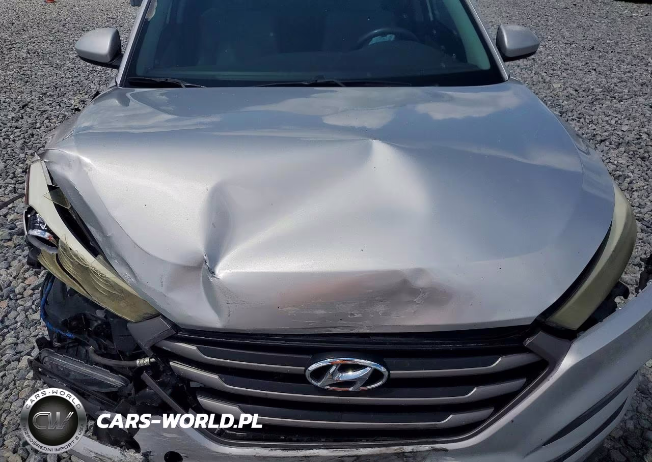 2016 Hyundai Tucson Se VIN:KM8J3CA48GU152234 - 11