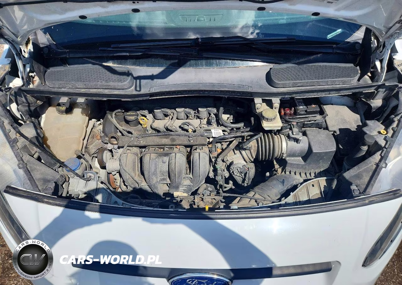 2015 Ford Transit Connect Xl VIN:NM0LS7E74F1199222 - 12