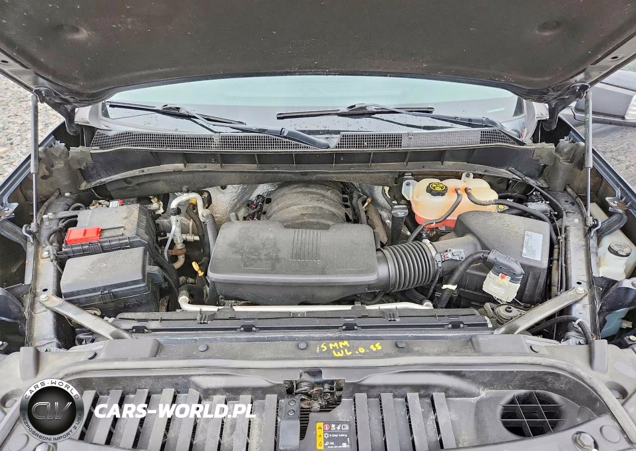 2019 Chevrolet Silverado K1500 Lt Trail Boss VIN:3GCPYFED6KG194053 - 11