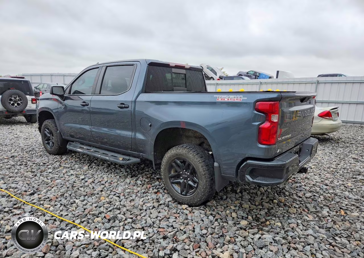2019 Chevrolet Silverado K1500 Lt Trail Boss VIN:3GCPYFED6KG194053 - 2