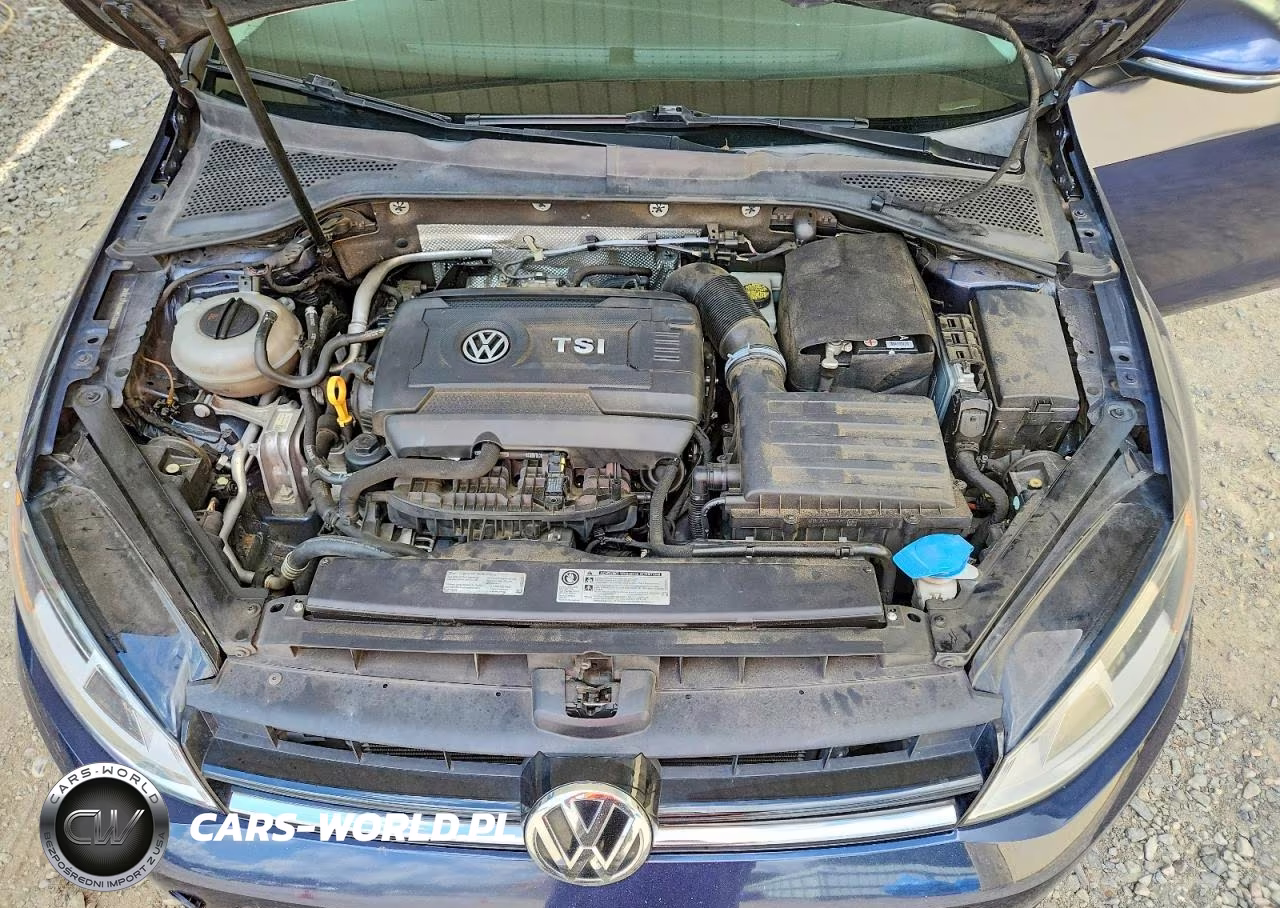 2016 Volkswagen Golf Sportwagen S VIN:3VWC17AUXGM520330 - 11