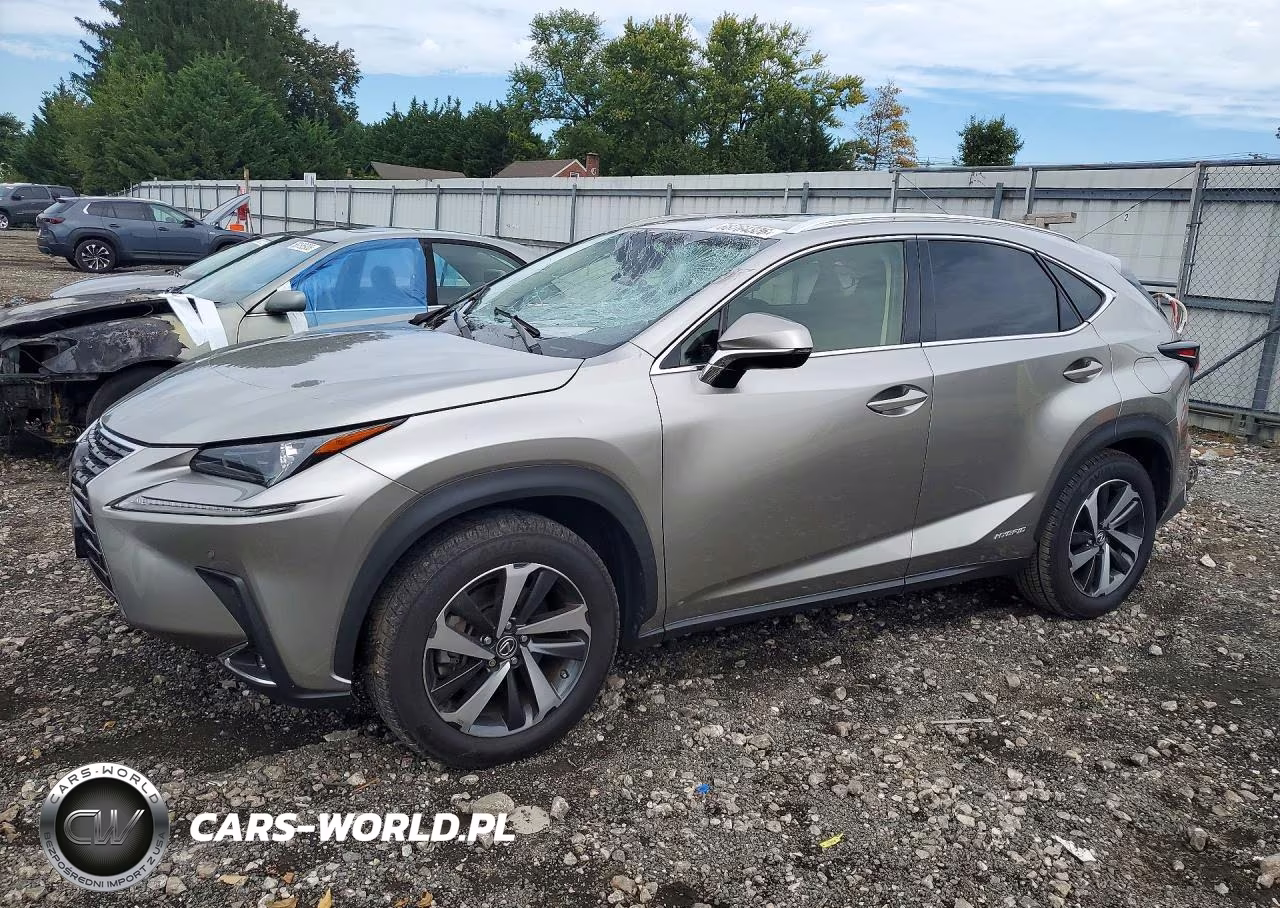 2020 Lexus Nx 300H VIN:JTJGJRDZ4L2133715 - 1