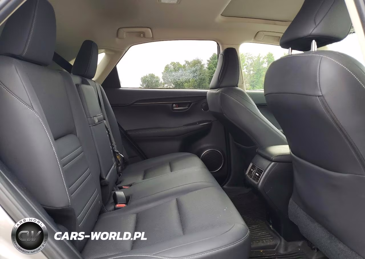 2020 Lexus Nx 300H VIN:JTJGJRDZ4L2133715 - 11