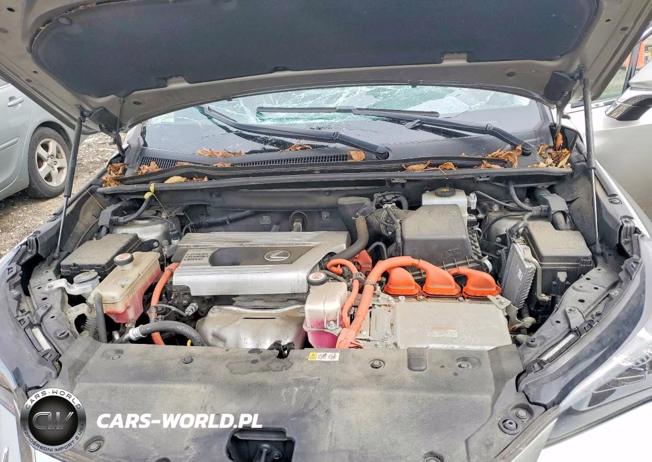 2020 Lexus Nx 300H VIN:JTJGJRDZ4L2133715 - 12