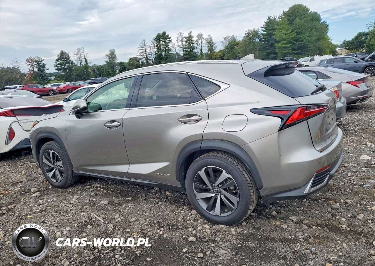 2020 Lexus Nx 300H VIN:JTJGJRDZ4L2133715 - 2