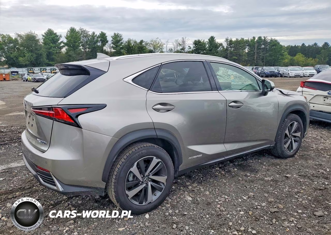 2020 Lexus Nx 300H VIN:JTJGJRDZ4L2133715 - 3