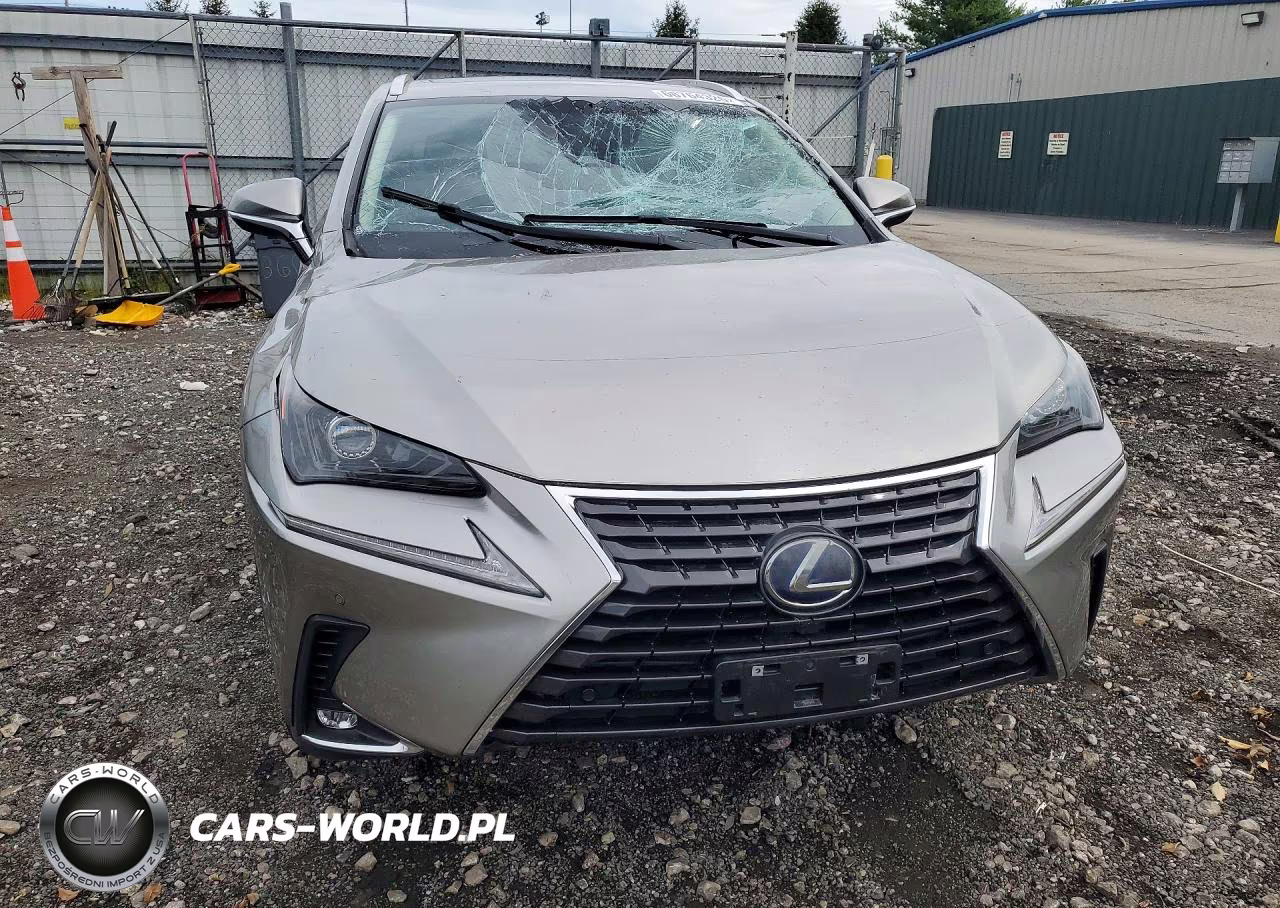 2020 Lexus Nx 300H VIN:JTJGJRDZ4L2133715 - 5