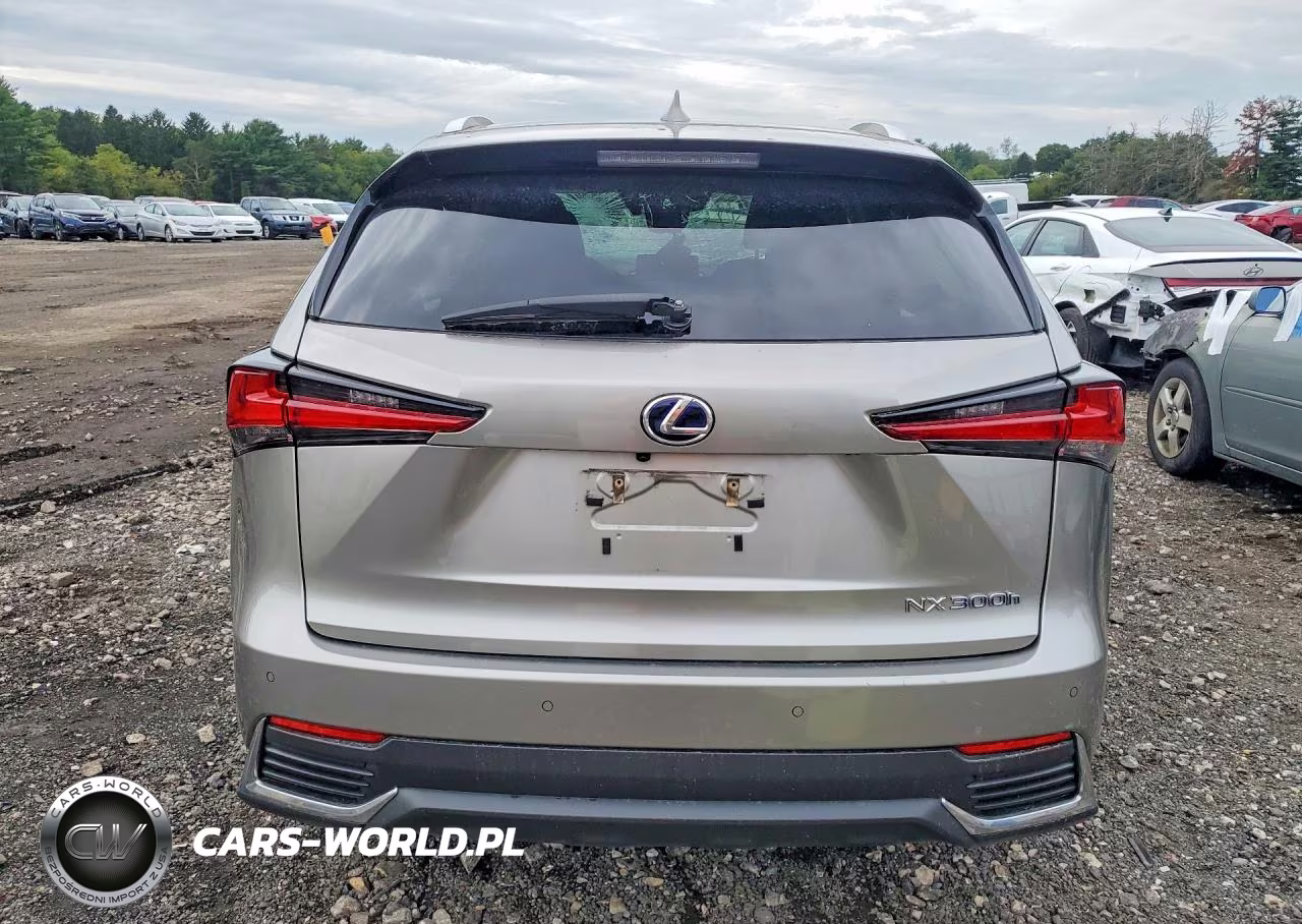 2020 Lexus Nx 300H VIN:JTJGJRDZ4L2133715 - 6