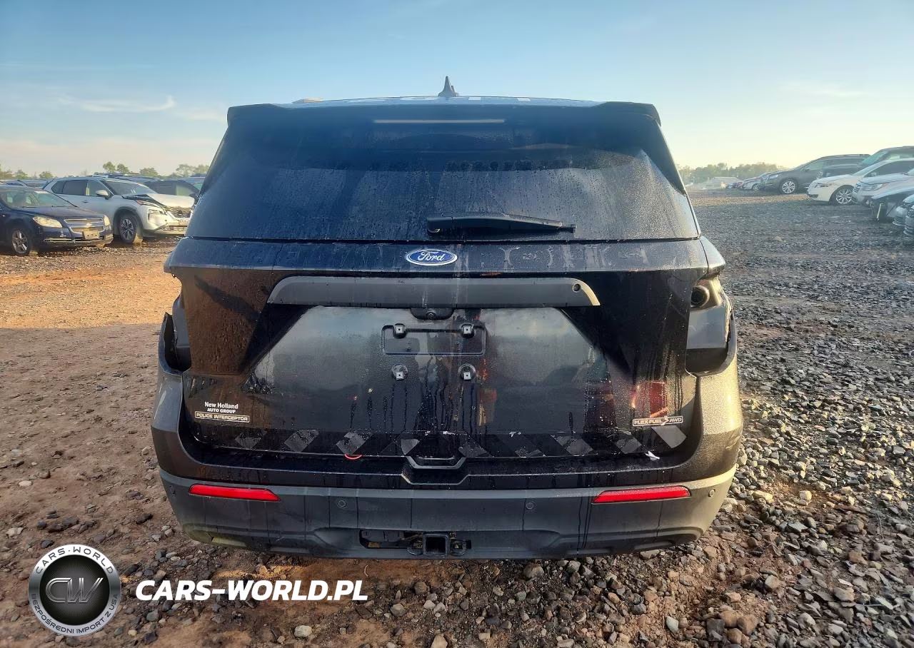 2023 Ford Explorer Police Interceptor VIN:1FM5K8AB8PGB12041 - 6
