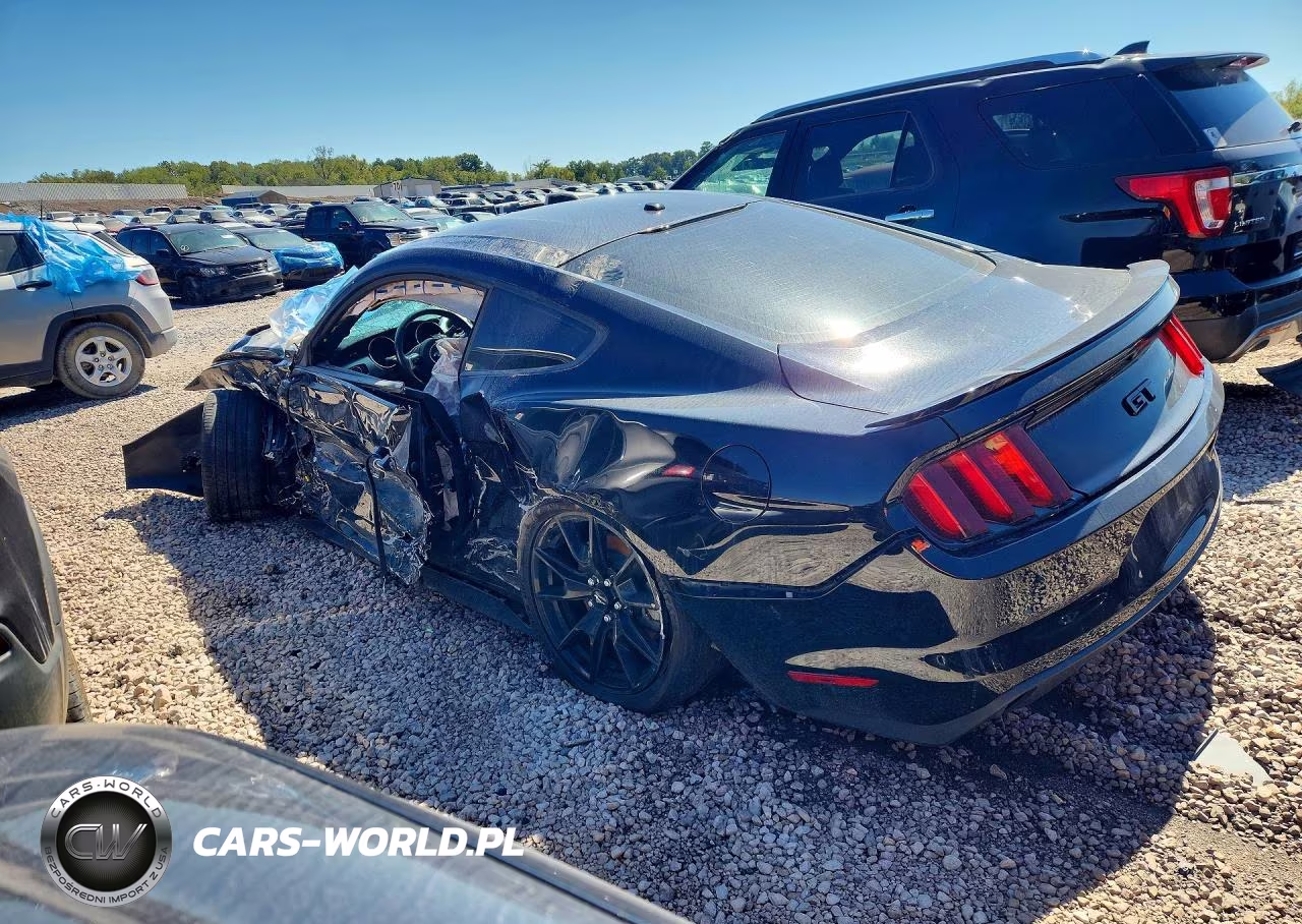 2017 Ford Mustang VIN:1FA6P8CF7H5312454 - 2