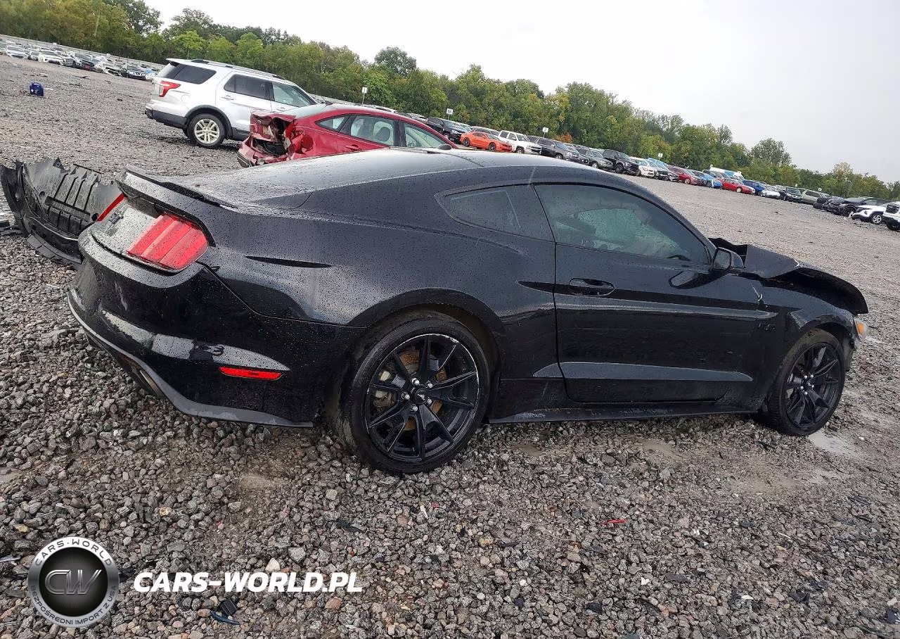 2017 Ford Mustang VIN:1FA6P8CF7H5312454 - 3
