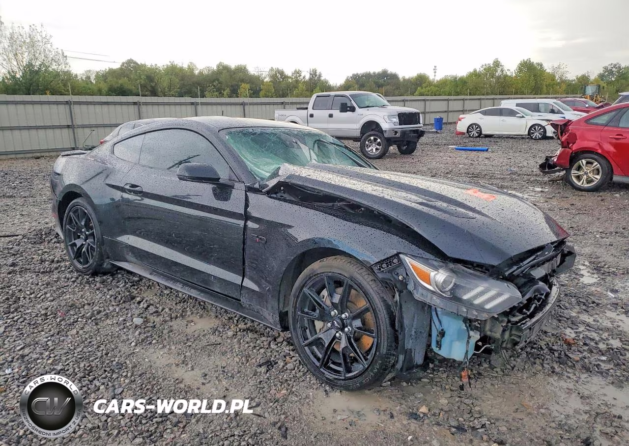 2017 Ford Mustang VIN:1FA6P8CF7H5312454 - 4