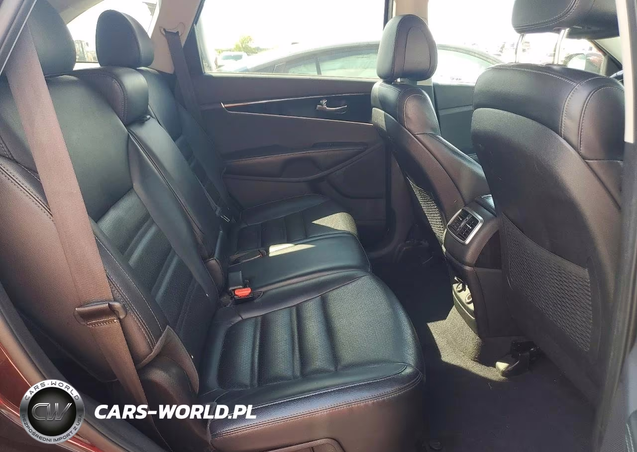 2016 Kia Sorento Ex VIN:5XYPH4A11GG040601 - 10