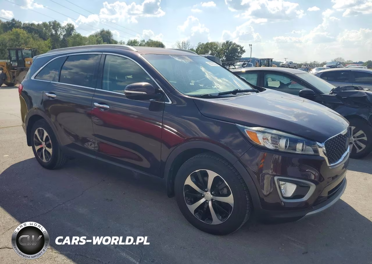 2016 Kia Sorento Ex VIN:5XYPH4A11GG040601 - 4