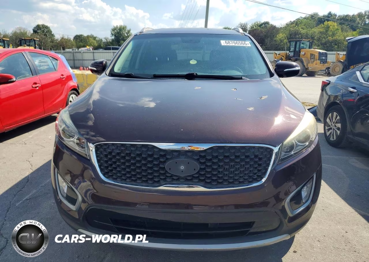 2016 Kia Sorento Ex VIN:5XYPH4A11GG040601 - 5