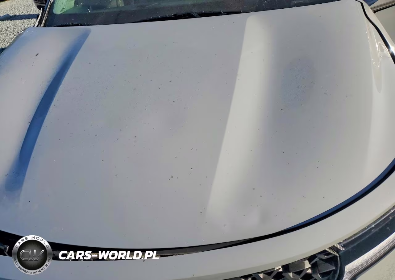 2023 Kia Sorento S VIN:5XYRLDLC0PG205818 - 12