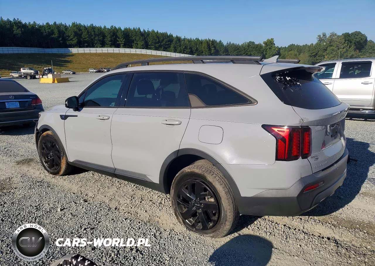 2023 Kia Sorento S VIN:5XYRLDLC0PG205818 - 2