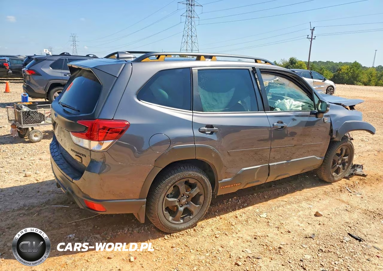 2023 Subaru Forester Wilderness VIN:JF2SKAMC7PH416623 - 3