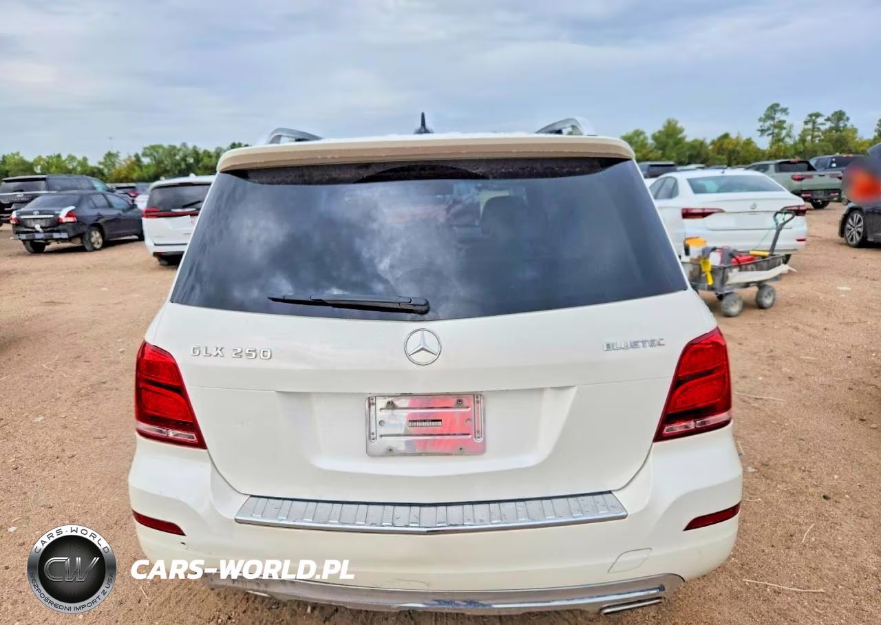 2013 Mercedes-Benz Glk 250 Bluetec VIN:WDCGG0EB4DG138295 - 6