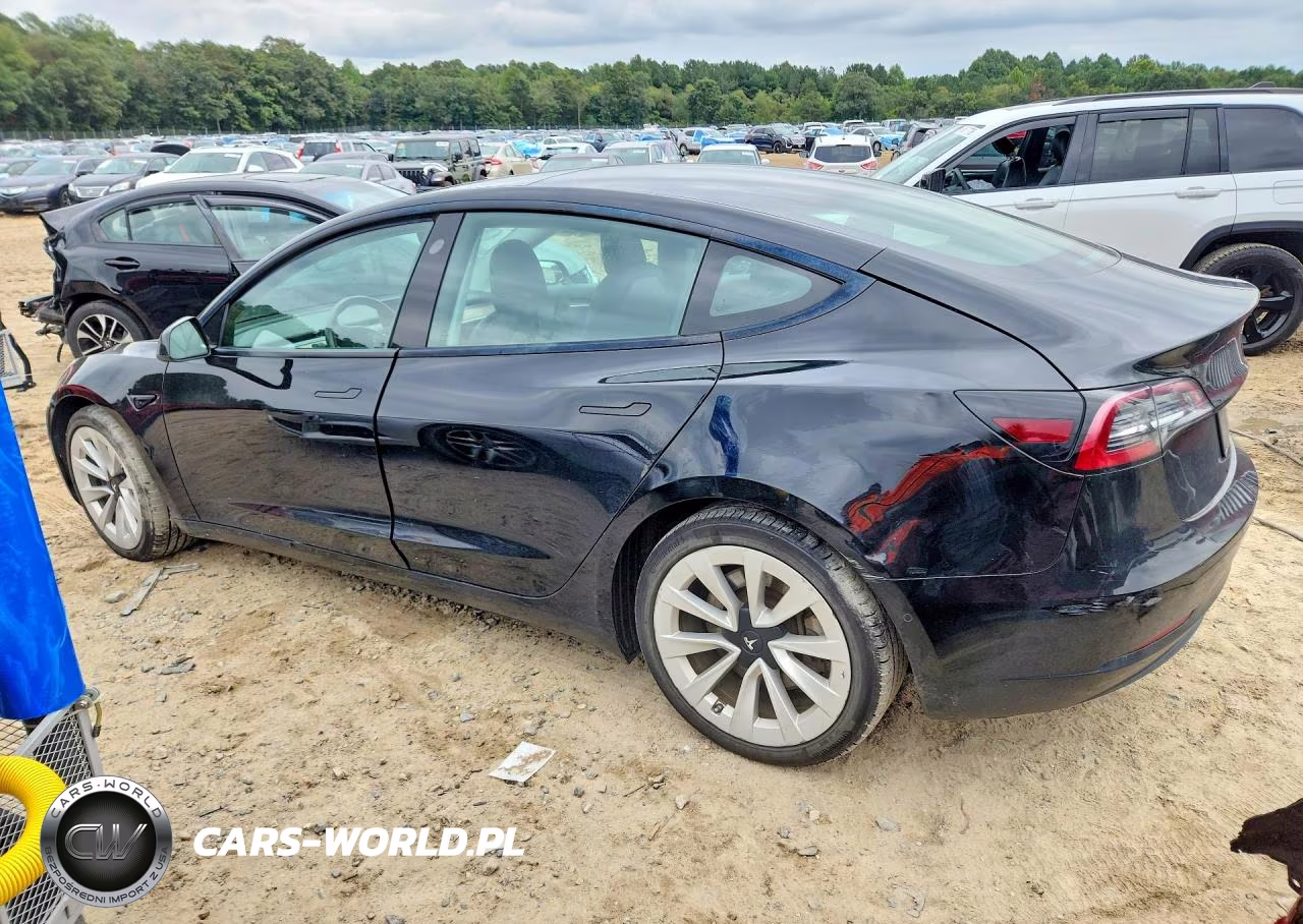 2022 Tesla Model 3 VIN:5YJ3E1EAXNF369284 - 2