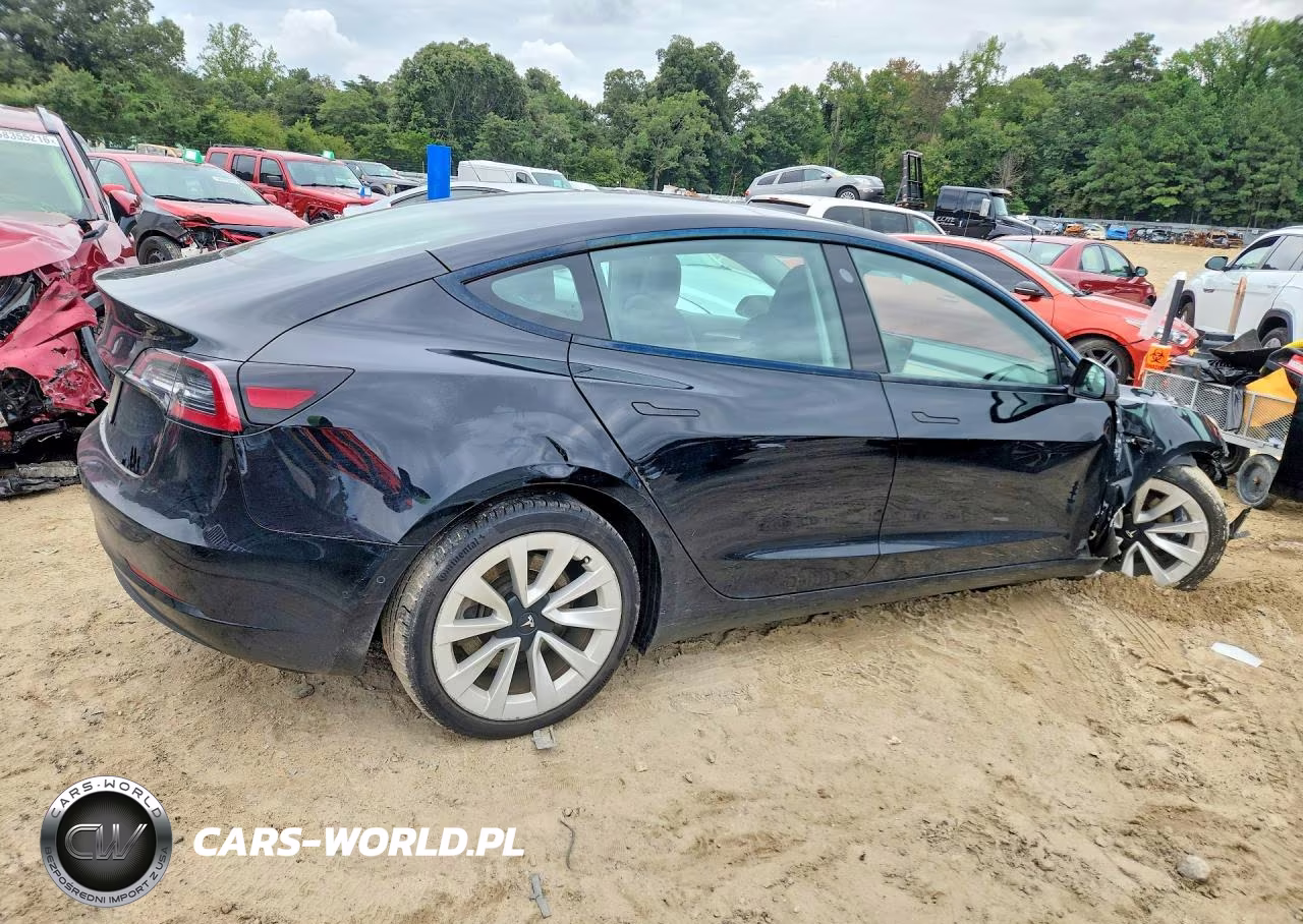 2022 Tesla Model 3 VIN:5YJ3E1EAXNF369284 - 3