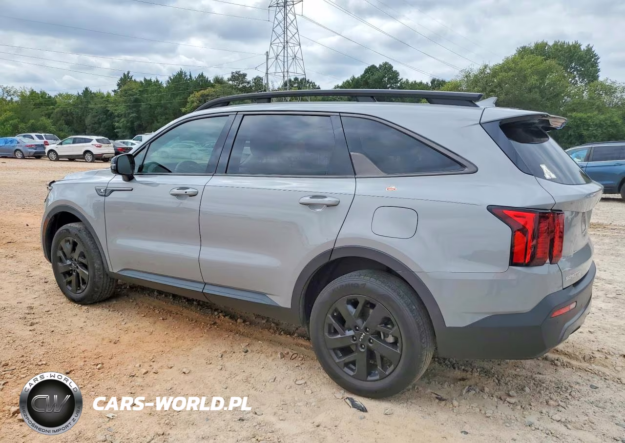 2023 Kia Sorento S VIN:5XYRLDLC0PG221324 - 2