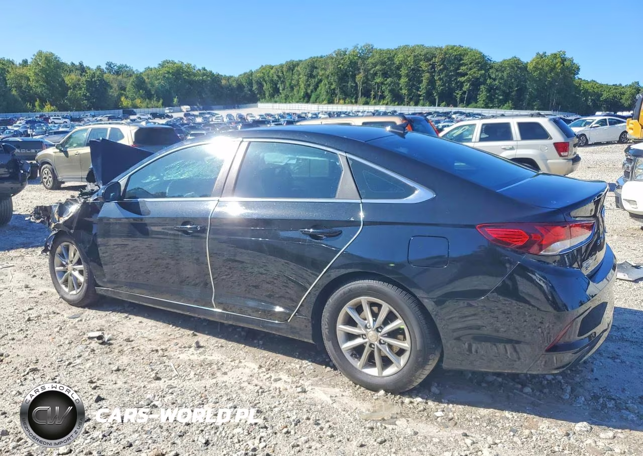 2018 Hyundai Sonata Se VIN:5NPE24AF5JH706623 - 2