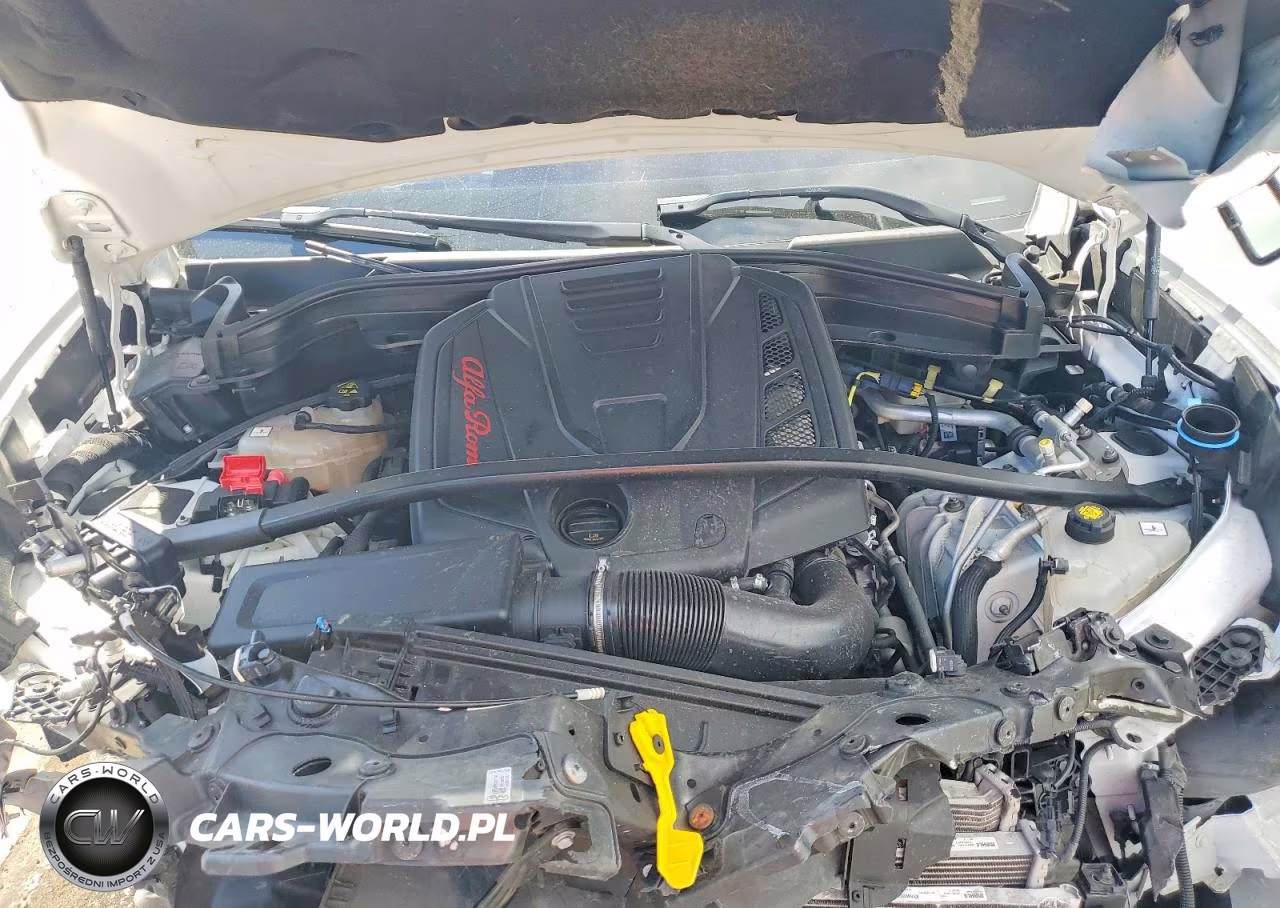 2020 Alfa Romeo Stelvio VIN:ZASPAJAN2L7C92717 - 12
