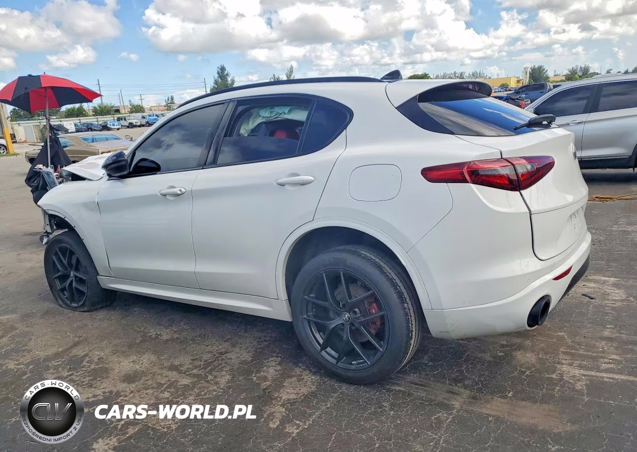 2020 Alfa Romeo Stelvio VIN:ZASPAJAN2L7C92717 - 2