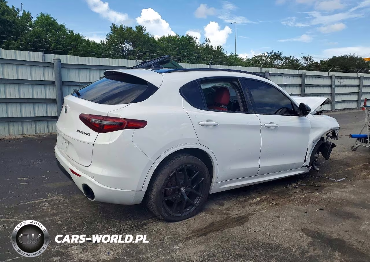2020 Alfa Romeo Stelvio VIN:ZASPAJAN2L7C92717 - 3