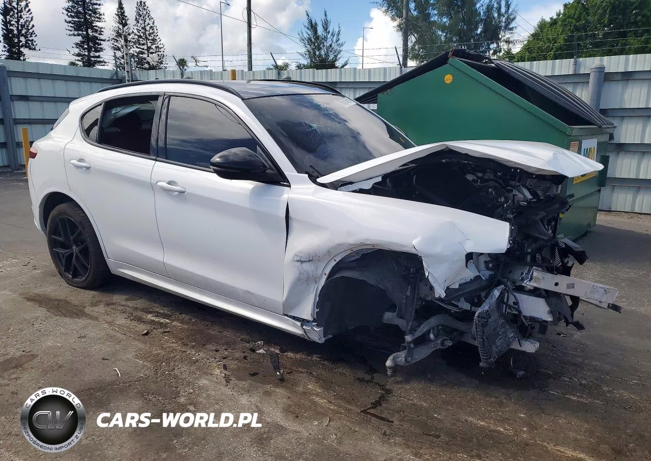 2020 Alfa Romeo Stelvio VIN:ZASPAJAN2L7C92717 - 4