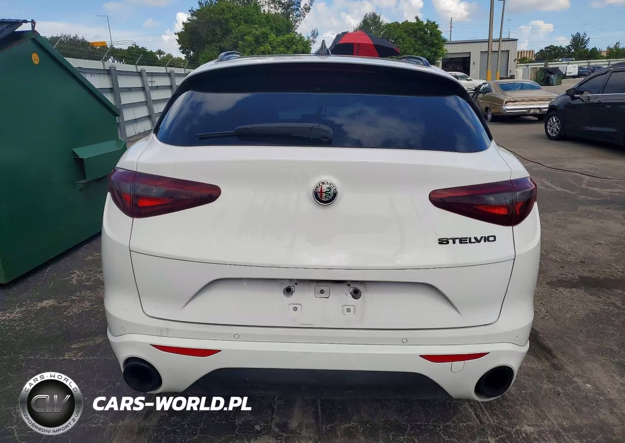 2020 Alfa Romeo Stelvio VIN:ZASPAJAN2L7C92717 - 6