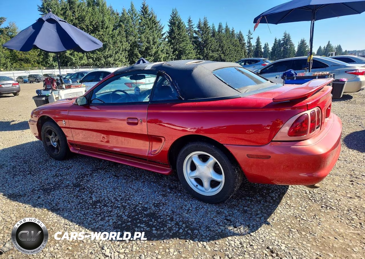 1998 Ford Mustang VIN:1FAFP4446WF216683 - 2