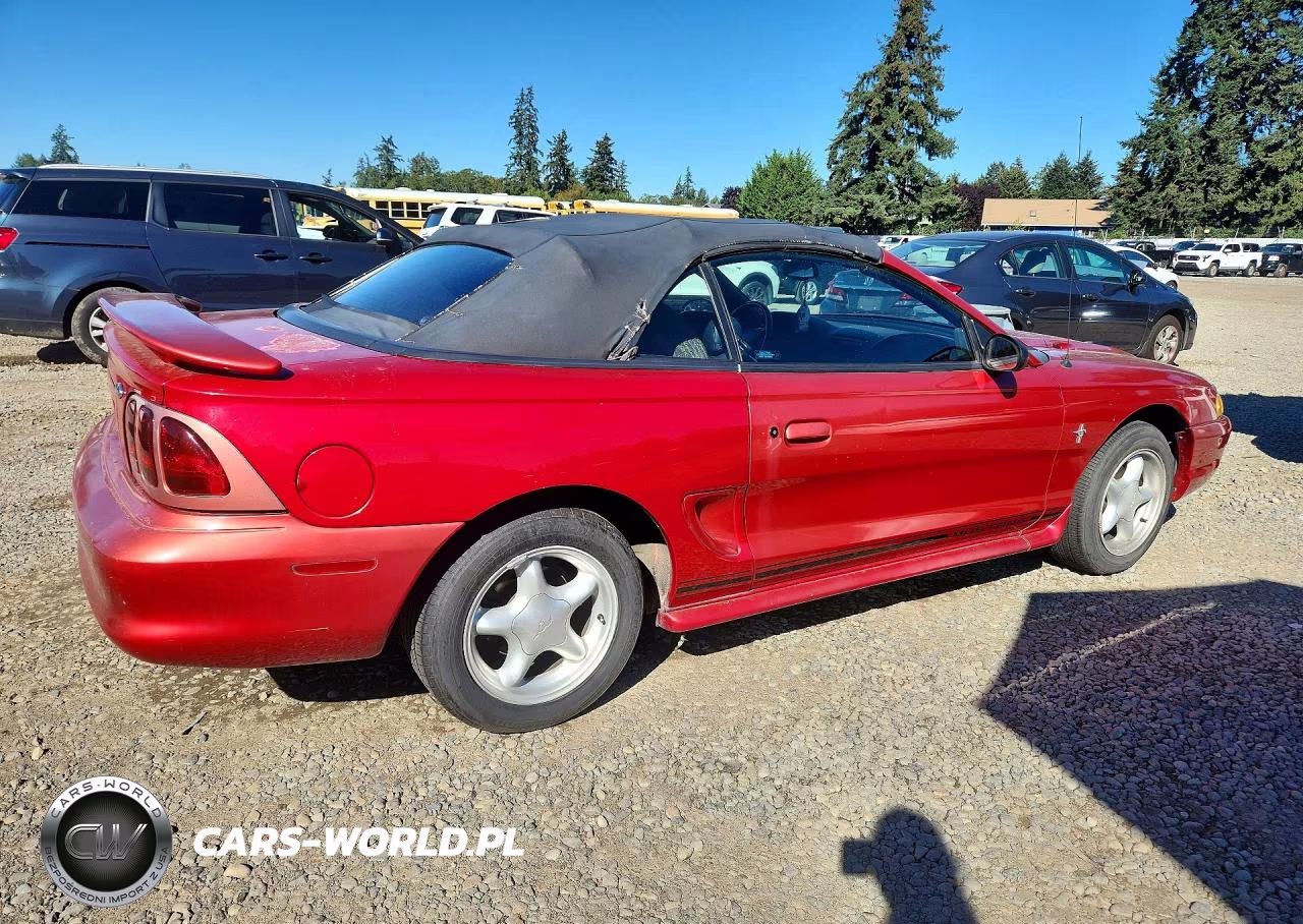 1998 Ford Mustang VIN:1FAFP4446WF216683 - 3