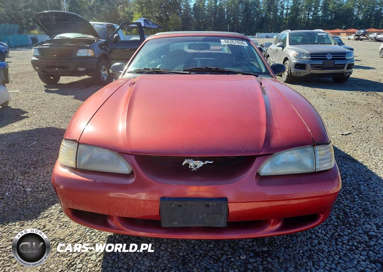 1998 Ford Mustang VIN:1FAFP4446WF216683 - 5