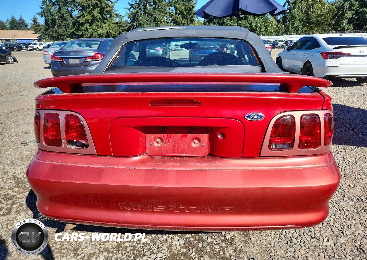 1998 Ford Mustang VIN:1FAFP4446WF216683 - 6