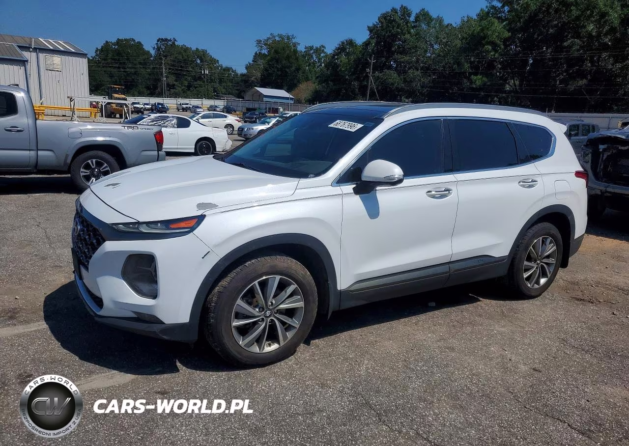 2020 Hyundai Santa Fe Limited VIN:5NMS53AD4LH200610 - 1