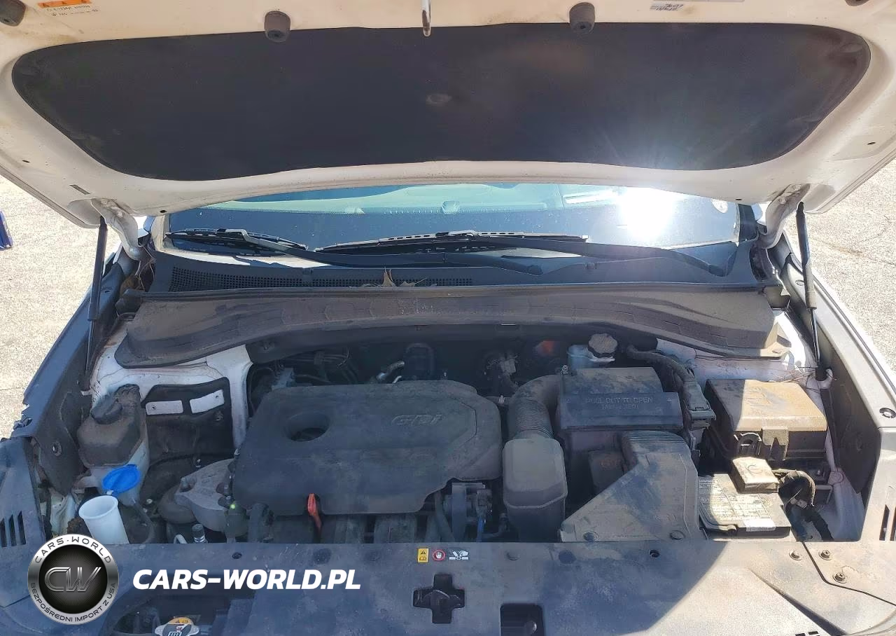 2020 Hyundai Santa Fe Limited VIN:5NMS53AD4LH200610 - 12