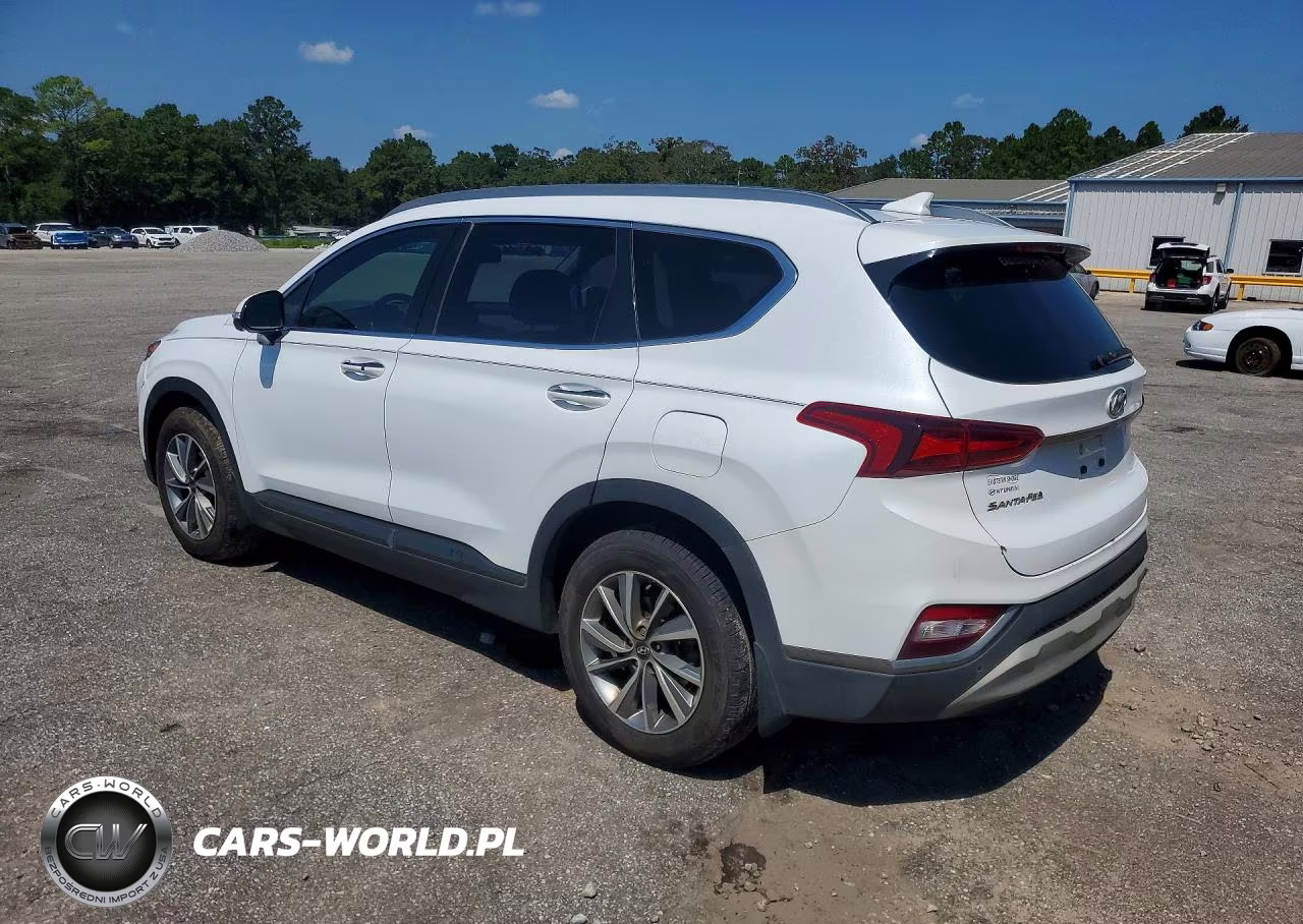 2020 Hyundai Santa Fe Limited VIN:5NMS53AD4LH200610 - 2