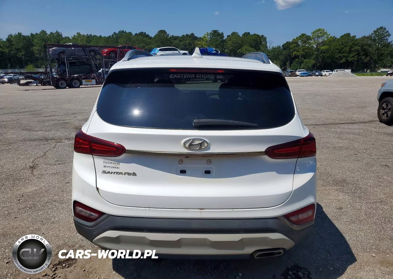 2020 Hyundai Santa Fe Limited VIN:5NMS53AD4LH200610 - 6