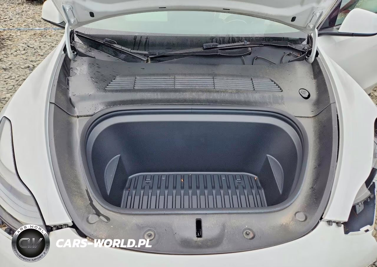 2024 Tesla Model Y VIN:7SAYGDEEXRF170331 - 11