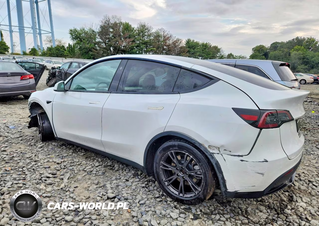 2024 Tesla Model Y VIN:7SAYGDEEXRF170331 - 2