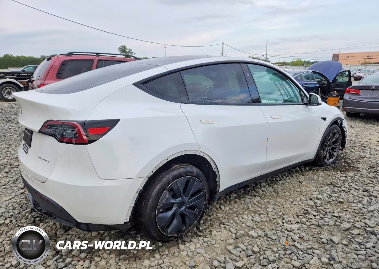 2024 Tesla Model Y VIN:7SAYGDEEXRF170331 - 3