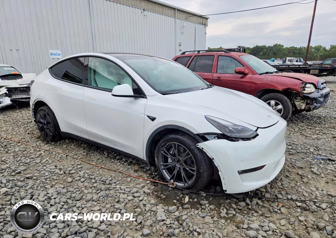 2024 Tesla Model Y VIN:7SAYGDEEXRF170331 - 4