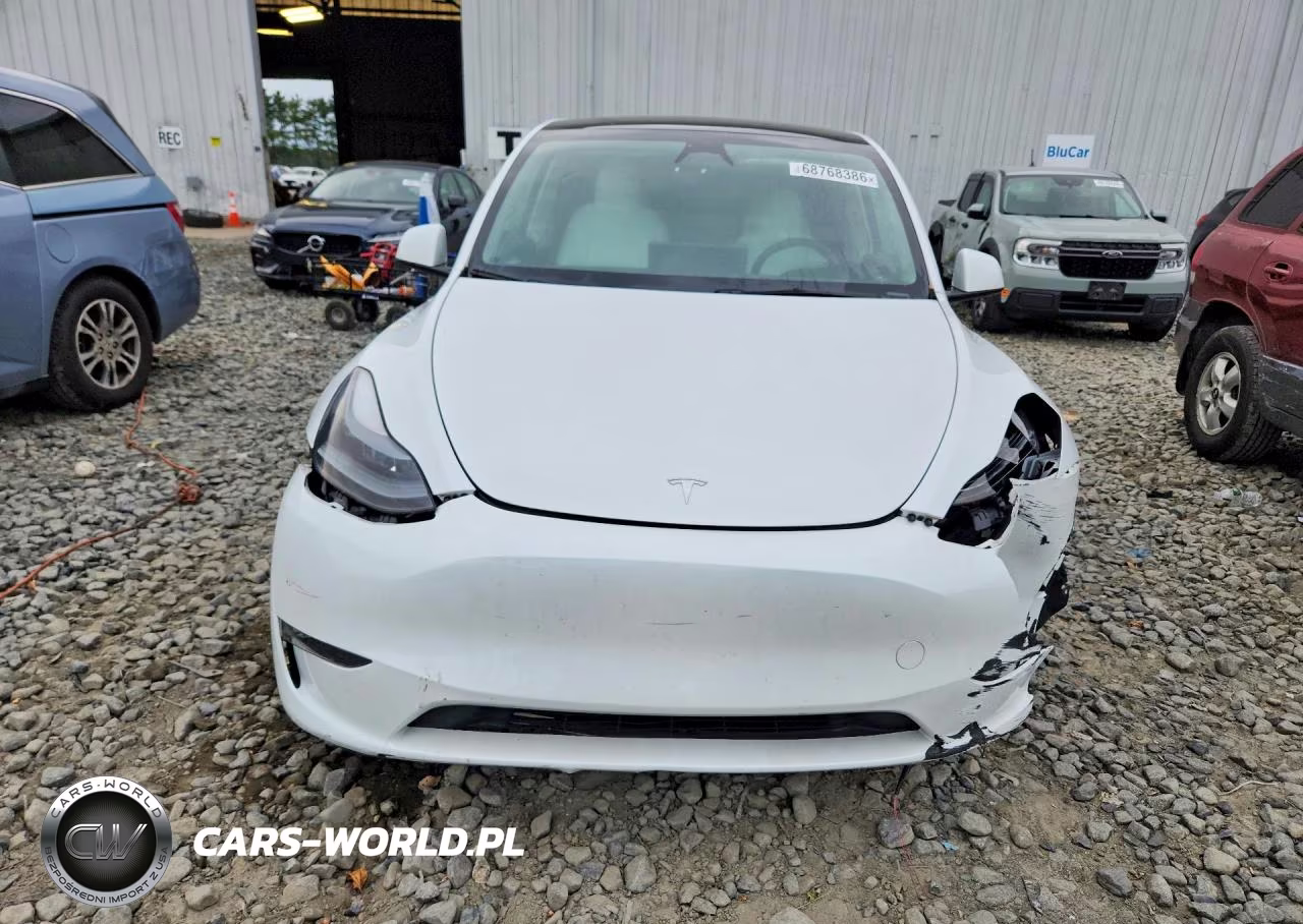 2024 Tesla Model Y VIN:7SAYGDEEXRF170331 - 5