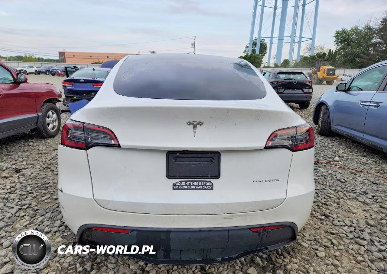 2024 Tesla Model Y VIN:7SAYGDEEXRF170331 - 6