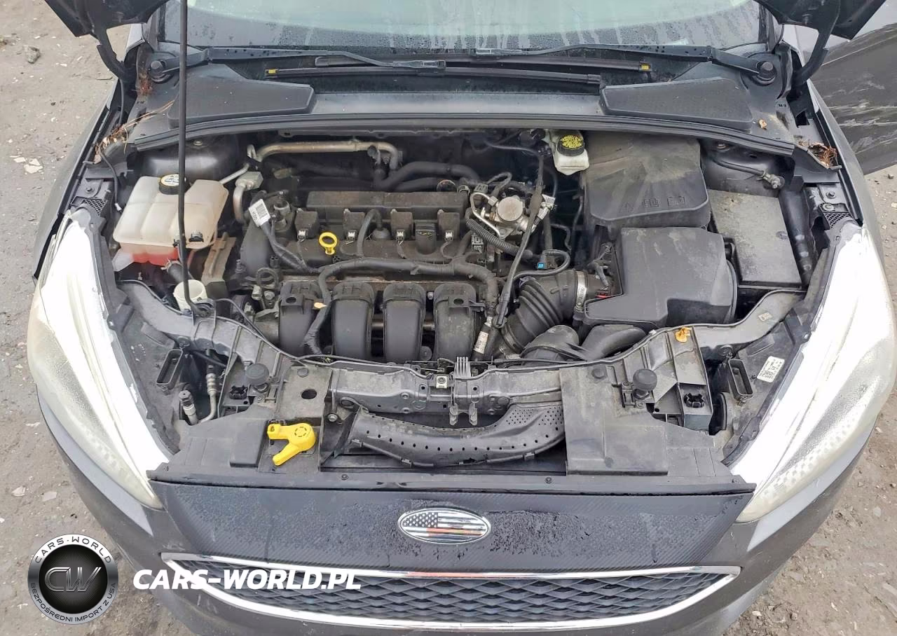 2017 Ford Focus Se VIN:1FADP3F21HL227379 - 11